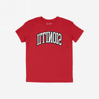 Illinois Flipped T-shirt