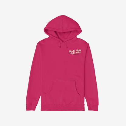 Kinda High Hoodie in bright magenta with a cream kinda high right now. print on the chest, featuring a drawstring hood and kangaroo pocket, embodying a playful, psychedelic vibe.