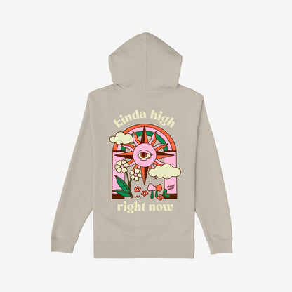 Back view of the Kinda High Hoodie & Sweatshirt featuring a retro psychedelic graphic with a third-eye sunburst, rainbow portal, clouds, and whimsical plants, embodying a playful, free-spirited vibe.