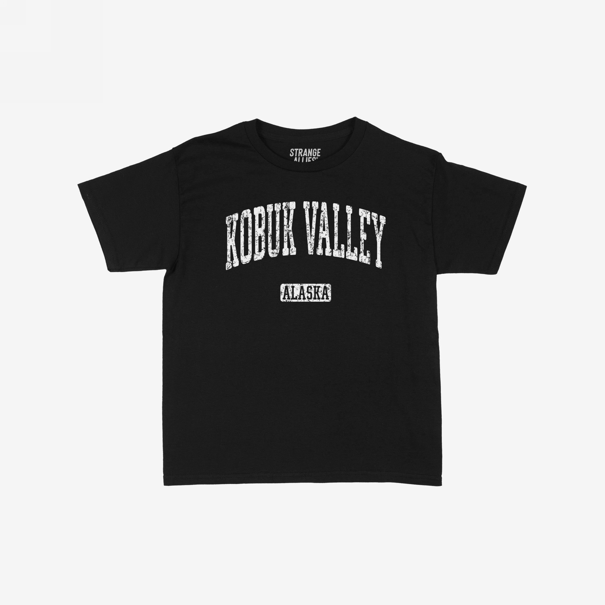 Kobuk Valley Alaska Women's Baby Tee