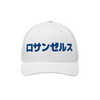 Los Angeles Japanese Trucker Hat