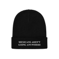 Black rib-knit beanie with bold white embroidered text on the cuff, reading “MEXICANS AREN’T GOING ANYWHERE,” represent