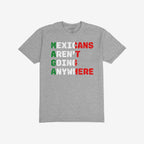 Heather-gray T-shirt titled Mexicans Aren’t Going Anywhere Shirt featuring bold, distressed block letters in Mexican flag colors, expressing defiance and pride. Available in various styles, supporting immigrant rights.