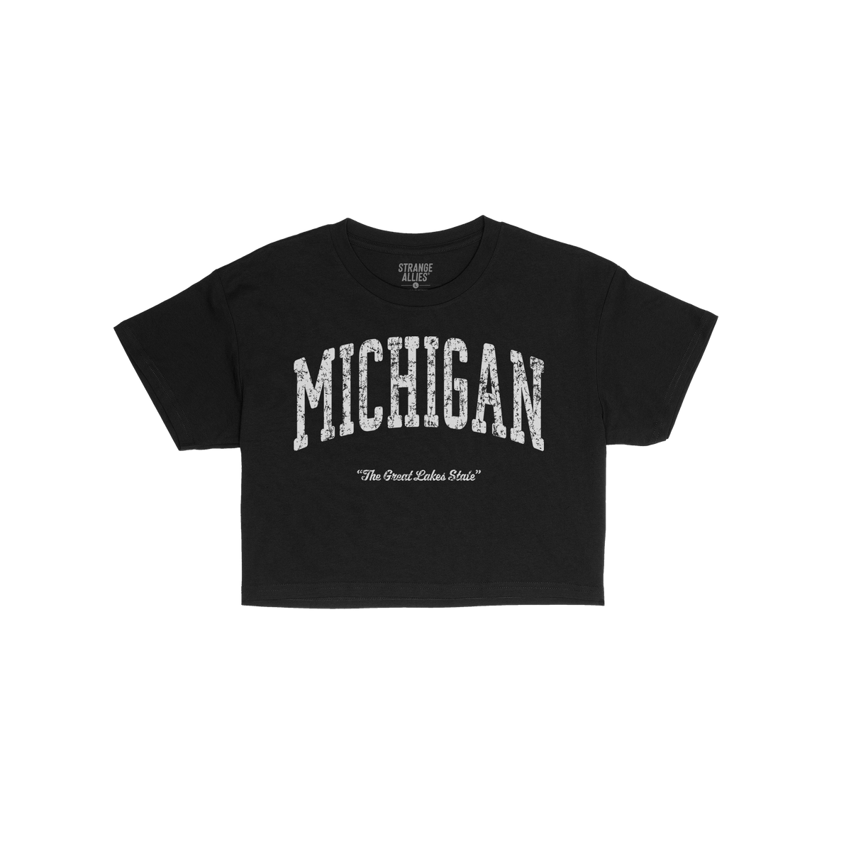 Michigan Vintage Crop Top
