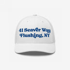 New York Baseball Stadium NYM Hat