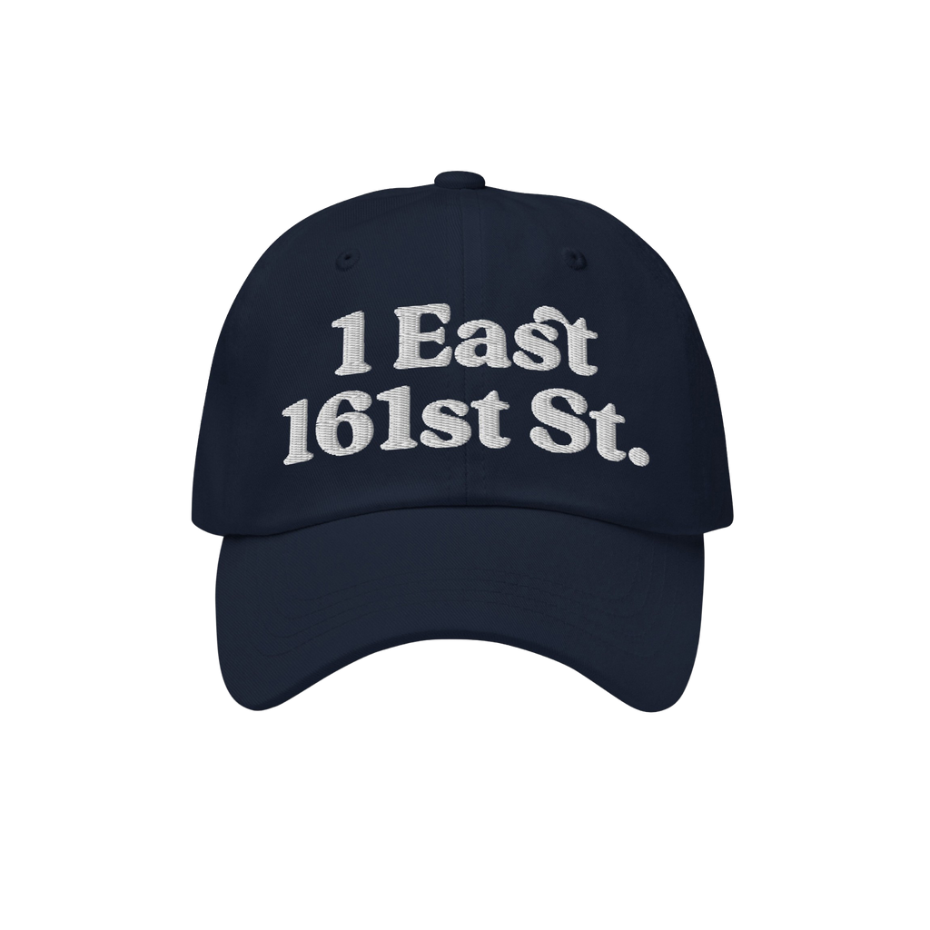 New York Baseball Stadium NYY Dad Hat