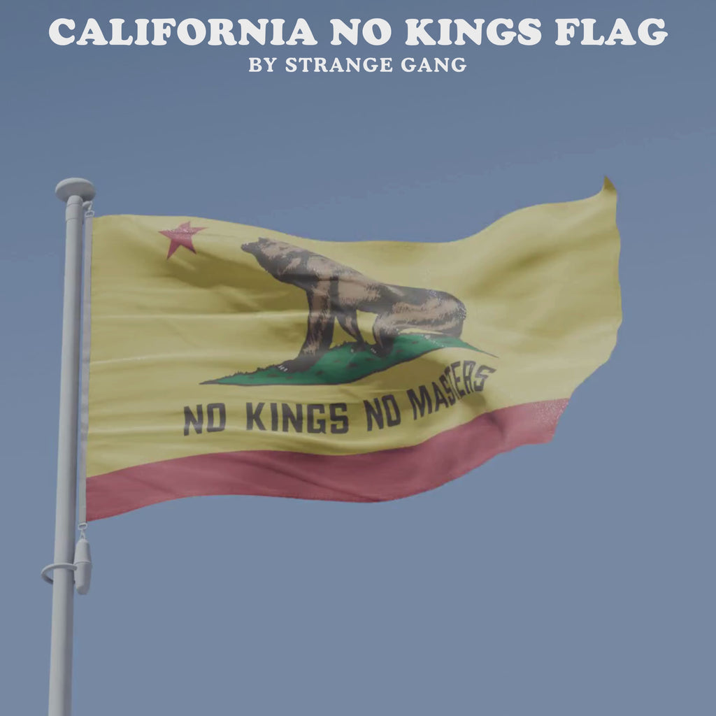 California No Kings Flag