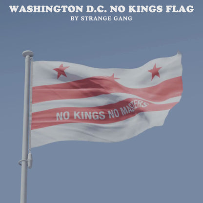 Washington DC No Kings Flag