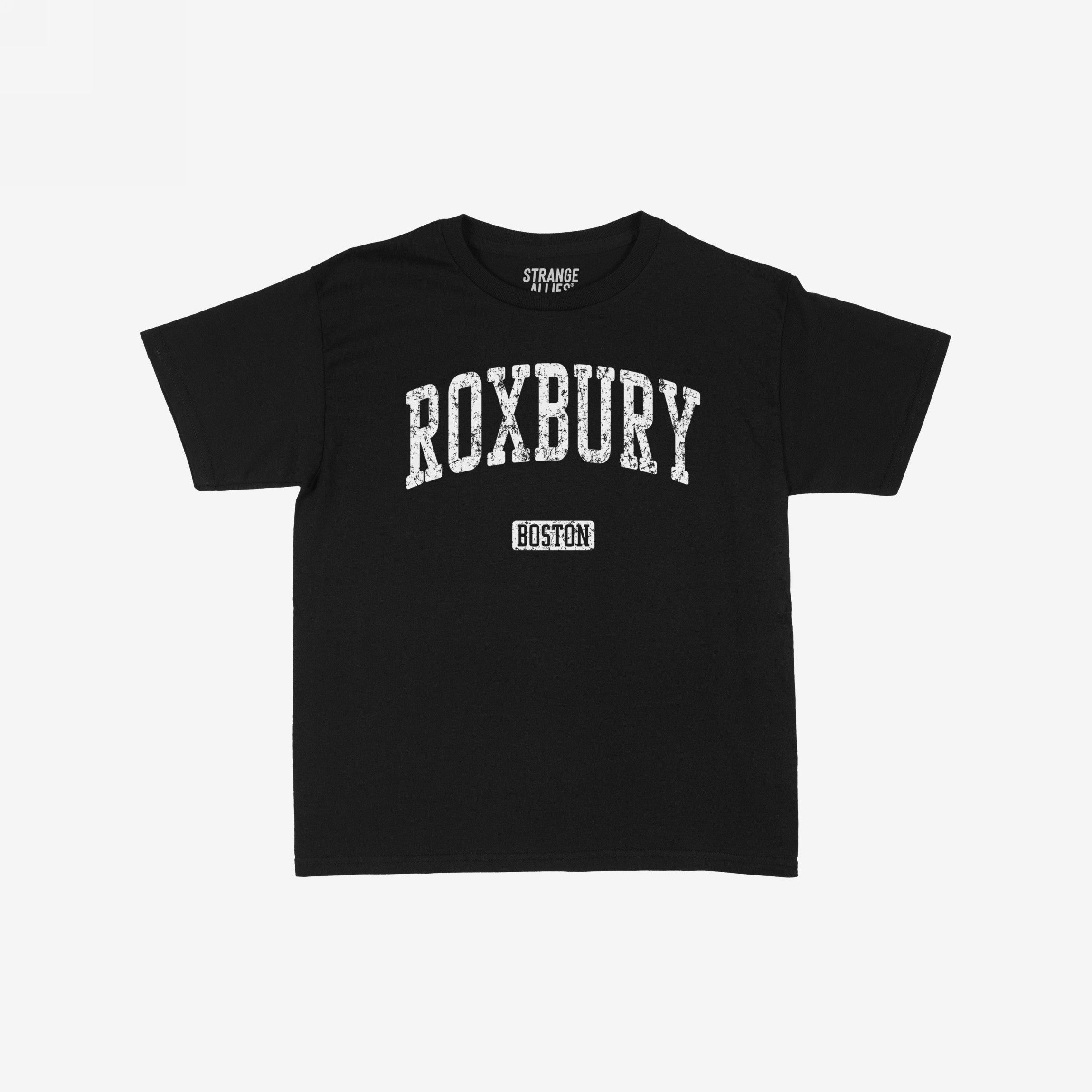 Roxbury Boston Women's Baby Tee