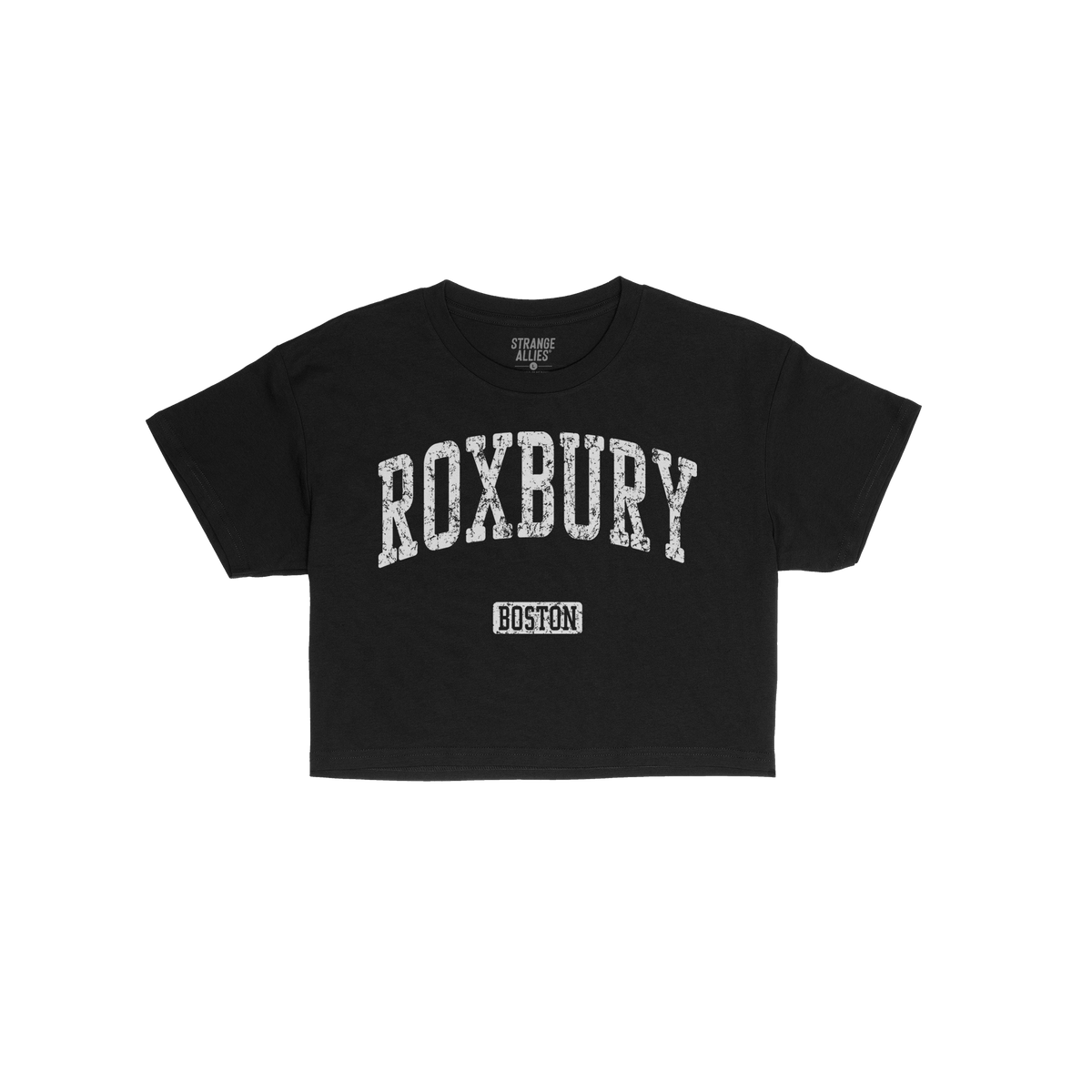 Roxbury Boston Crop Top