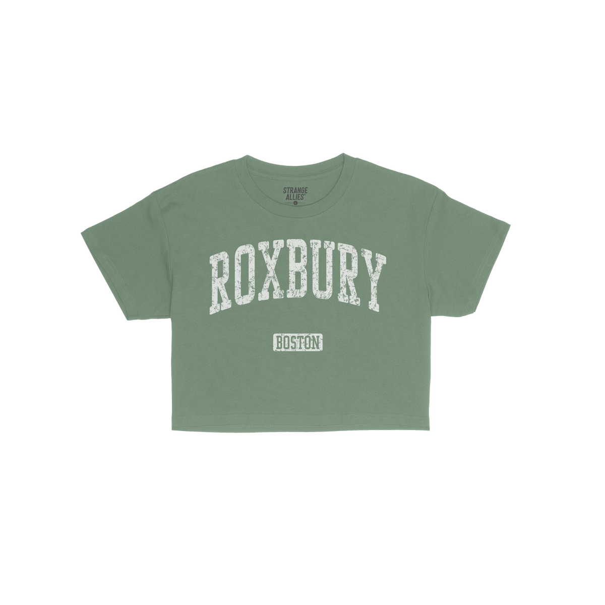 Roxbury Boston Crop Top