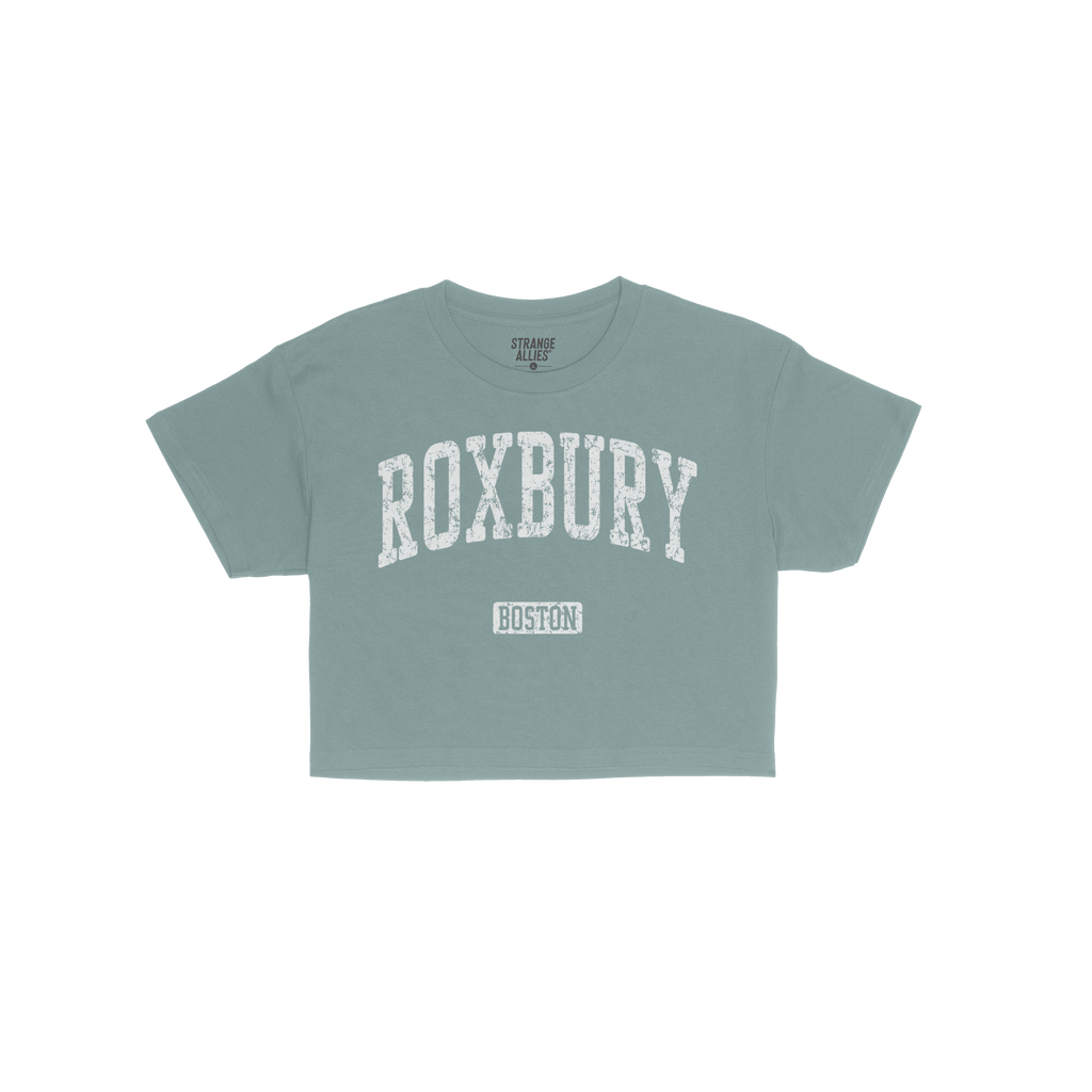 Roxbury Boston Crop Top