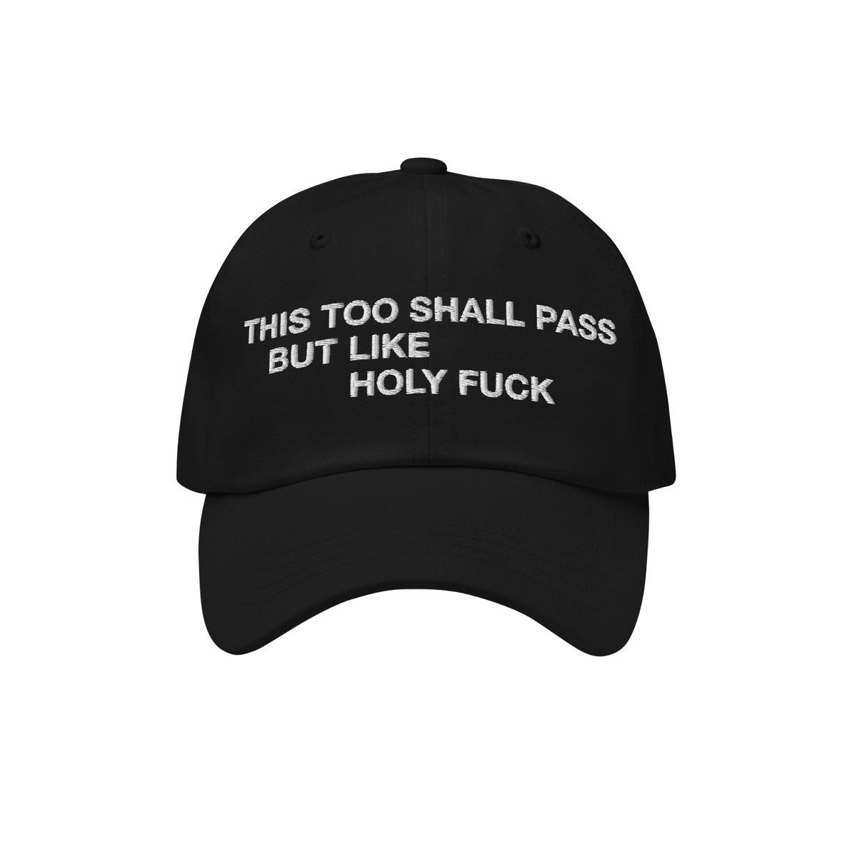 This Too Shall Pass Dad Hat
