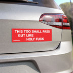This Too Shall Pass Sticker & Magnet