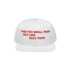 This Too Shall Pass Snapback Hat