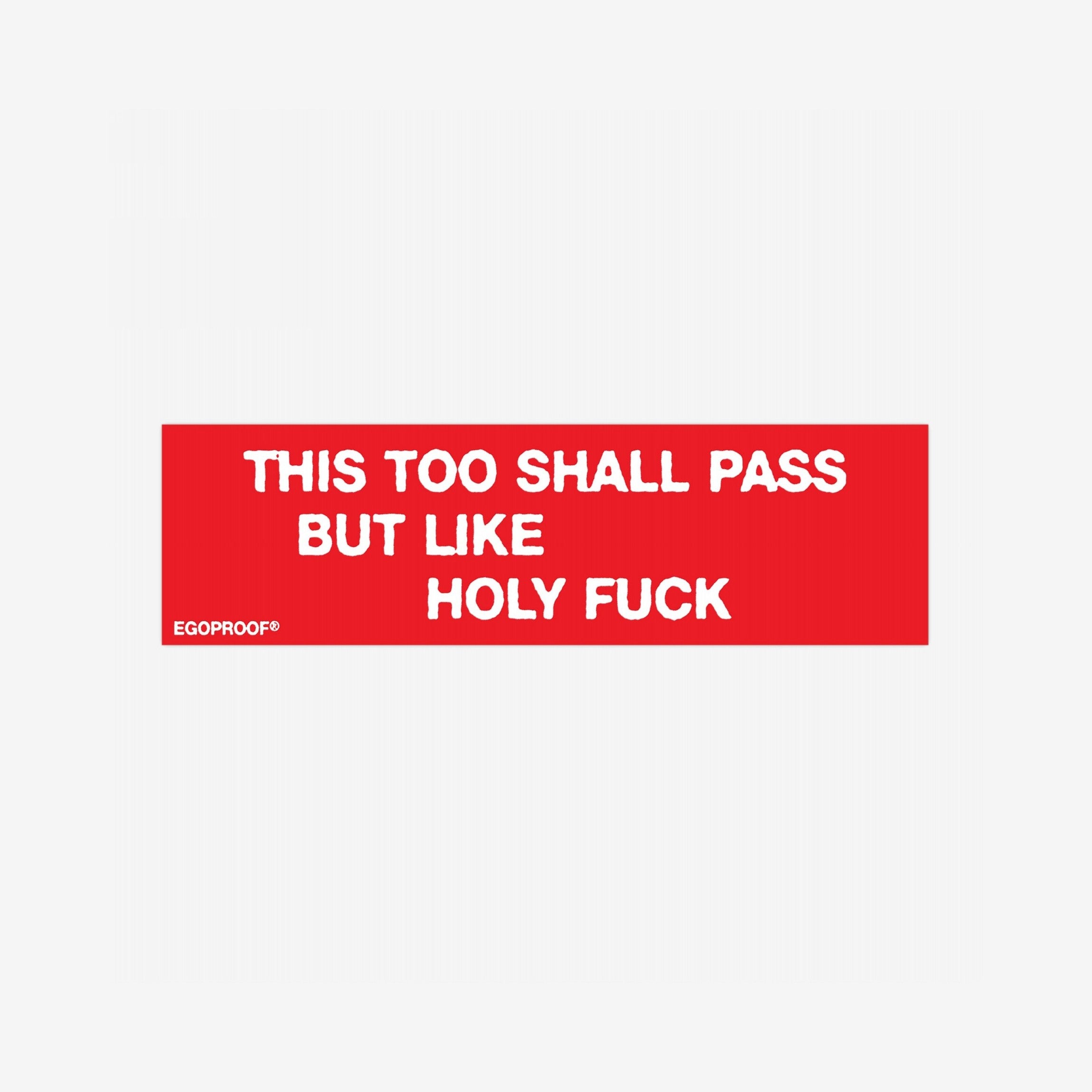 This Too Shall Pass Sticker & Magnet