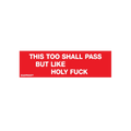 This Too Shall Pass Sticker
