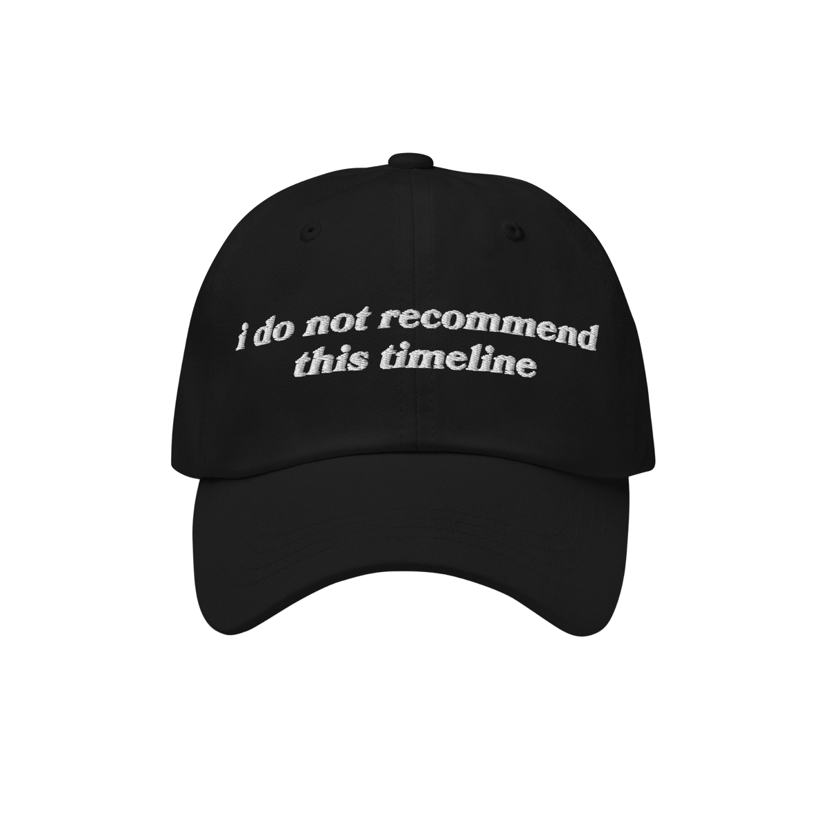 Black baseball-style cap featuring white embroidered text: i do not recommend this timeline. A nod to political humor and ant