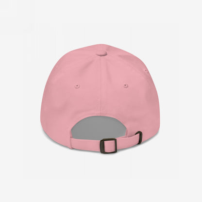 Back view of the Timeline Hat, a pink dad hat featuring an adjustable strap and metal buckle. The cap has I Do Not Recommend This Timeline embroidered in vintage-style lettering.