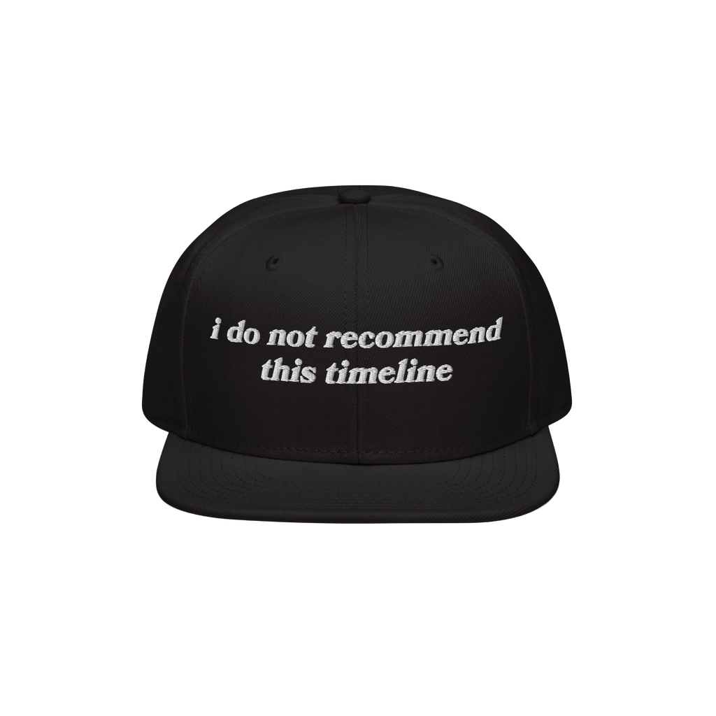 Timeline Hat: Black snapback cap with white embroidery stating, “i do not recommend this timeline.” Perfect for lovers of