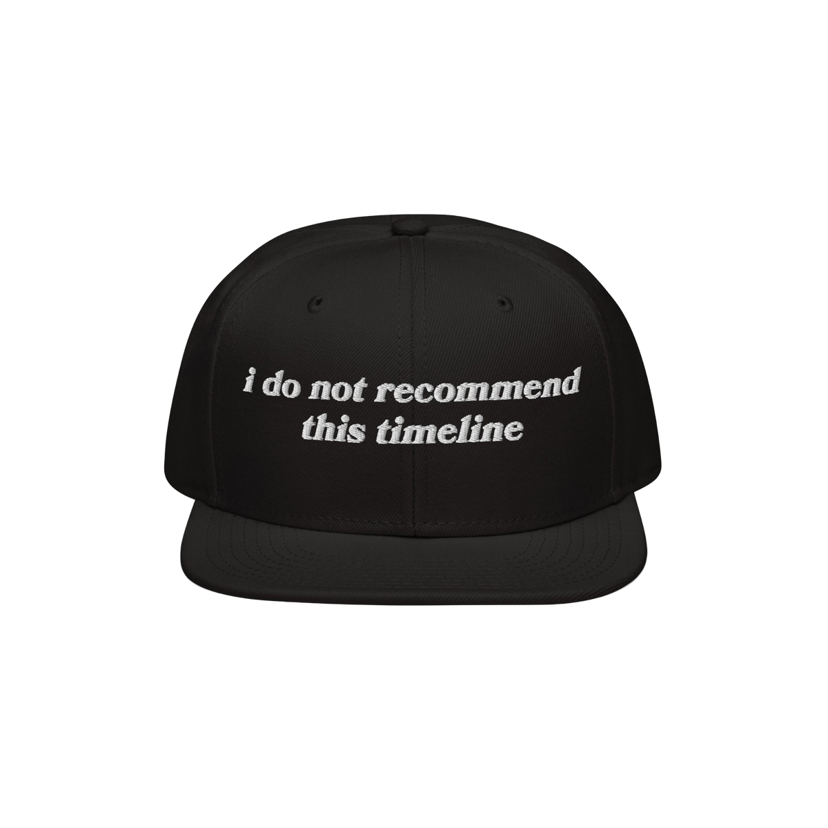 Timeline Hat: Black snapback cap with white embroidery stating, “i do not recommend this timeline.” Perfect for lovers of