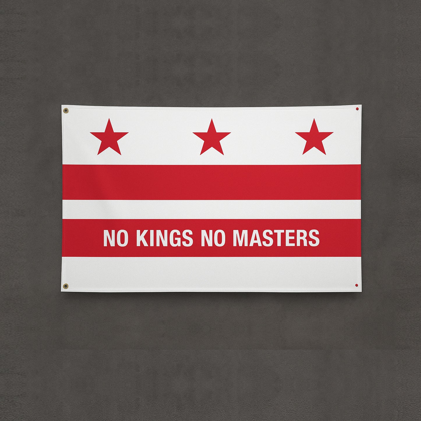 Washington DC No Kings Flag by Strange Gang