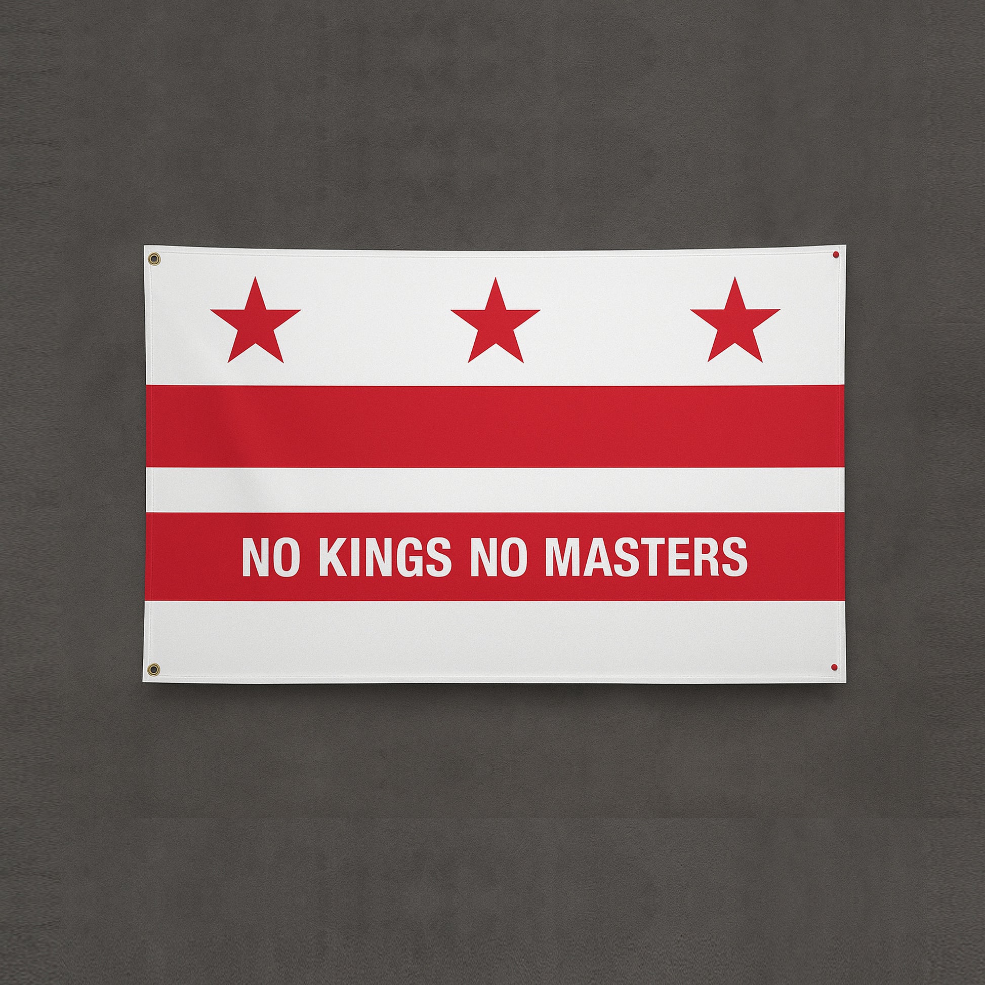 Washington DC No Kings Flag by Strange Gang