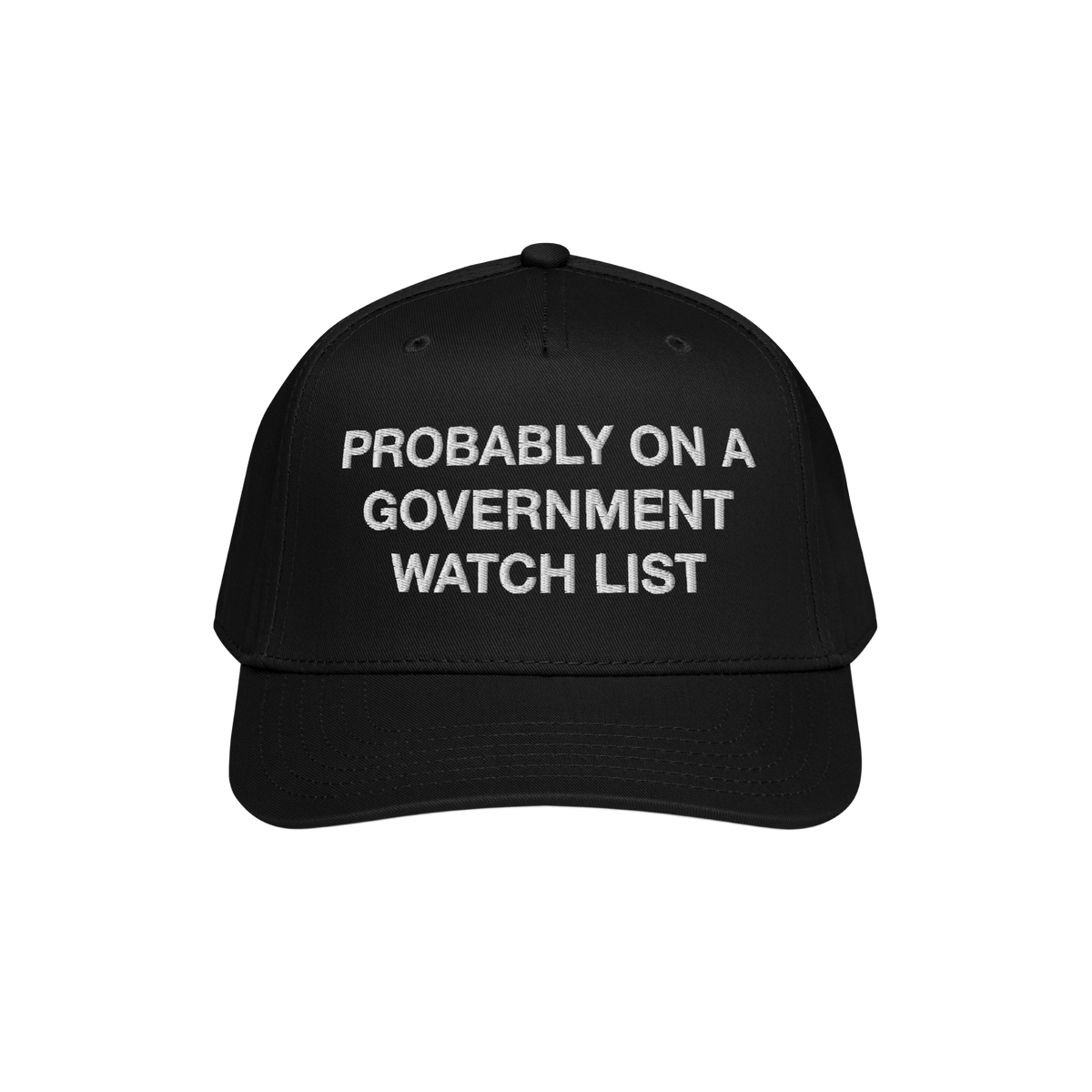 Watch List Hat featuring bold white embroidery stating PROBABLY ON A GOVERNMENT WATCH LIST on the front, designed for adults 