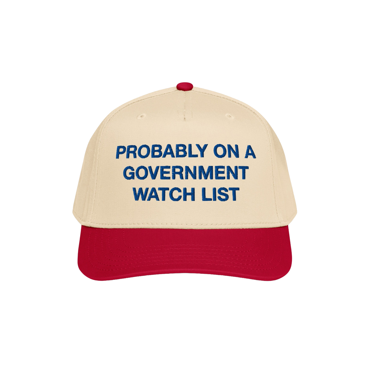 Watch List Hat with bold blue embroidery declaring “PROBABLY ON A GOVERNMENT WATCH LIST,” making a bold political stateme