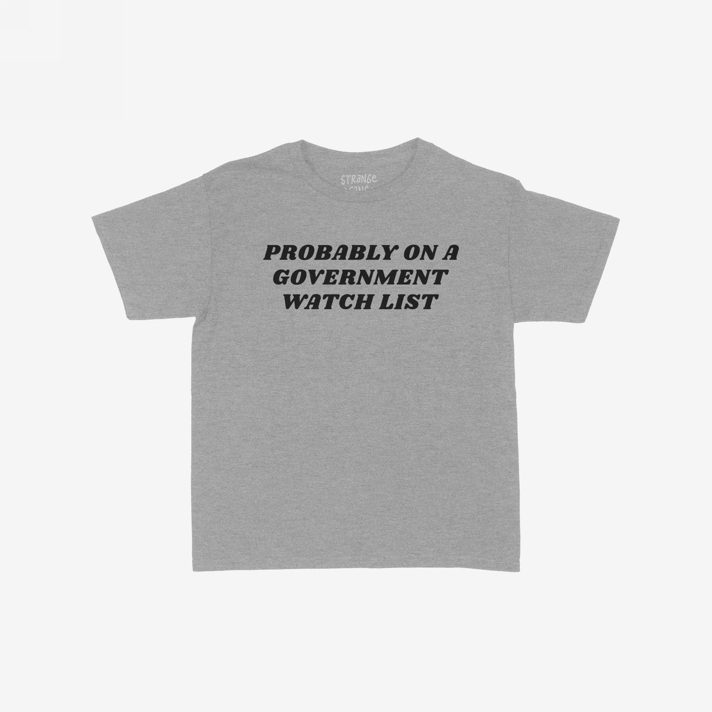 Heather-gray Watch List T-shirt featuring bold black text: “PROBABLY ON A GOVERNMENT WATCH LIST.” Faint branding inside neckline, reflecting bold resistance and unapologetic political stance.