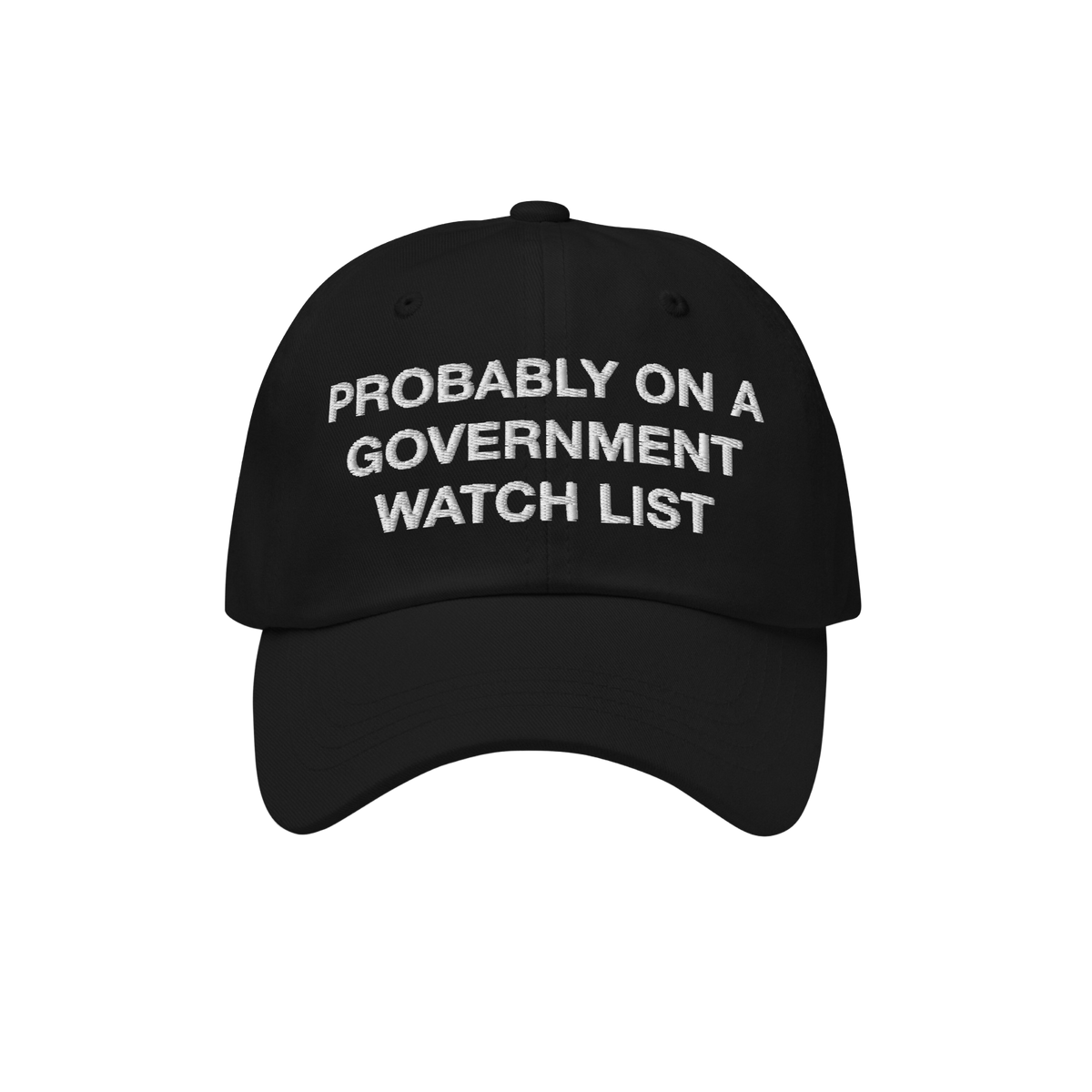 The Watch List Hat features a black baseball style with white embroidered text stating, PROBABLY ON A GOVERNMENT WATCH LIST, 