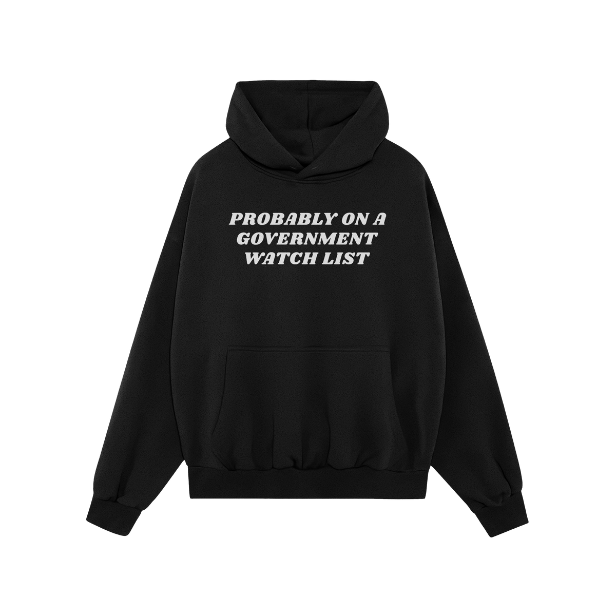 Watch List Hoodie & Sweatshirt featuring bold white text “PROBABLY ON A GOVERNMENT WATCH LIST” on a black pullover with p