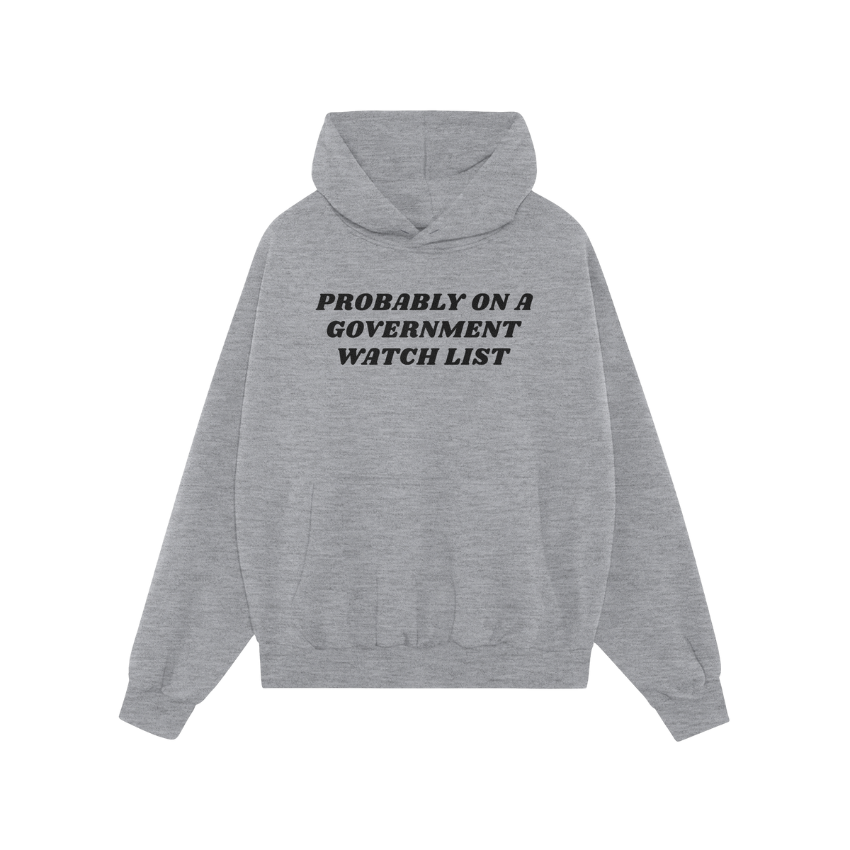 Watch List Hoodie & Sweatshirt featuring bold black text PROBABLY ON A GOVERNMENT WATCH LIST across the chest, designed for t