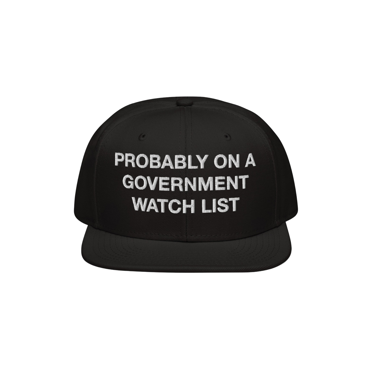 The Watch List Hat features bold white embroidery, stating PROBABLY ON A GOVERNMENT WATCH LIST, on a flat-brimmed black cap, 