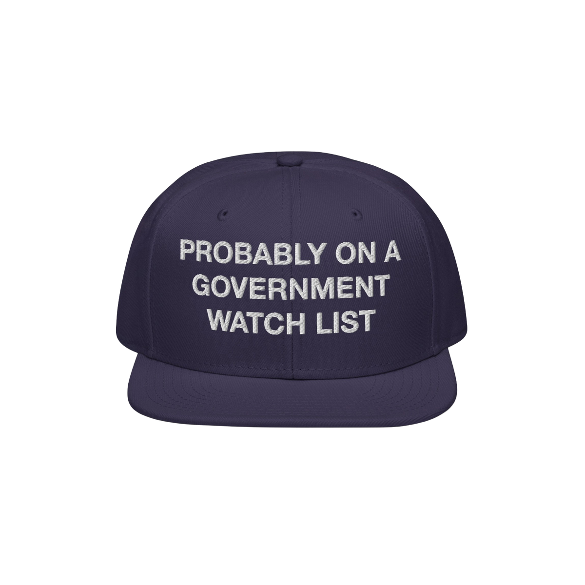 Watch List Hat: A dark navy snapback cap with white block letters, stating PROBABLY ON A GOVERNMENT WATCH LIST, embodying bol