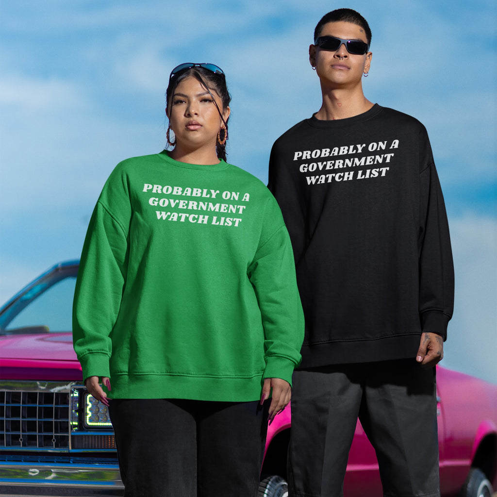 Watch List Hoodie & Sweatshirt: Two individuals model sweatshirts with “PROBABLY ON A GOVERNMENT WATCH LIST” text, embodying defiance and activism. The scene highlights bold fashion as a statement against authority.