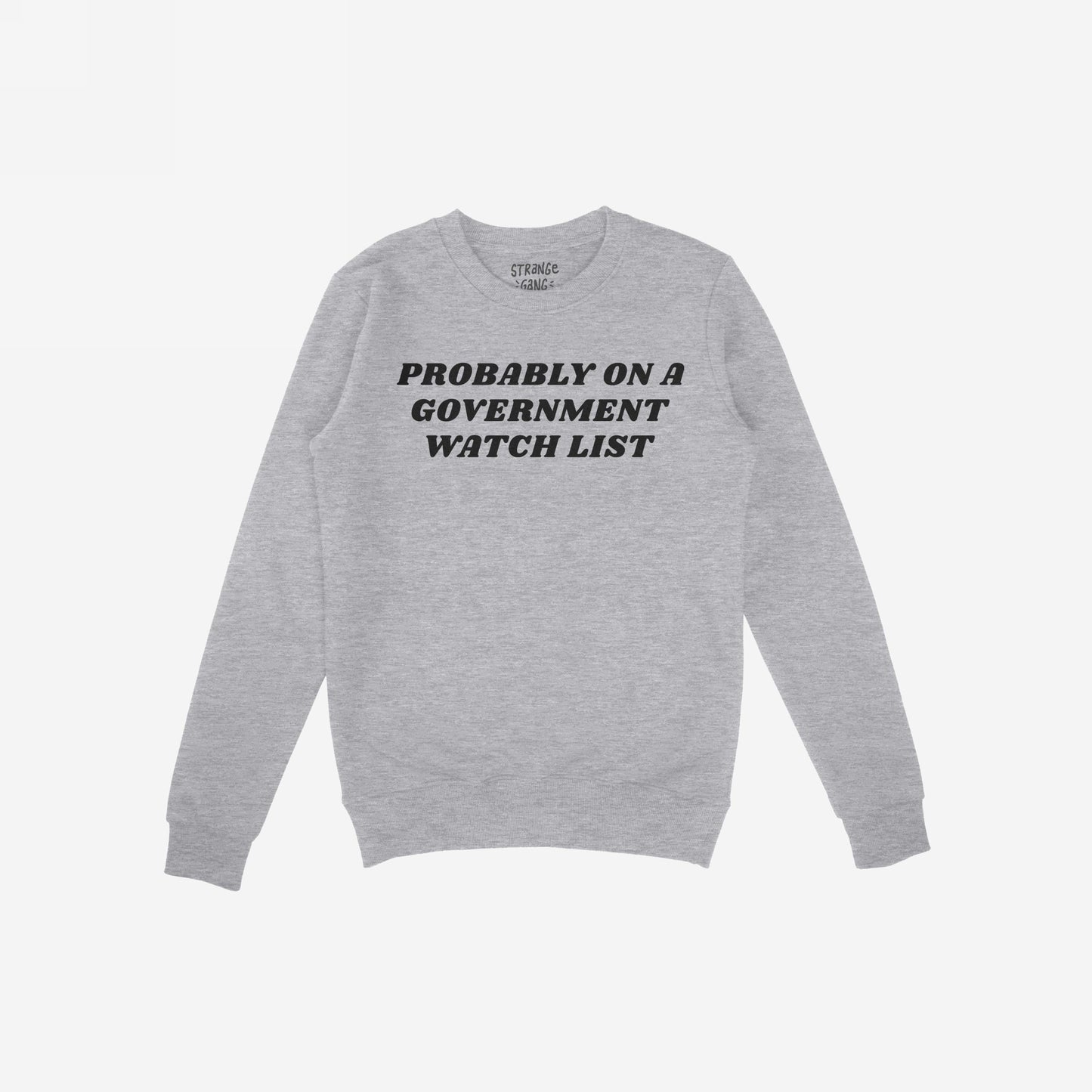 Watch List Hoodie & Sweatshirt features bold black text, “PROBABLY ON A GOVERNMENT WATCH LIST,” on a light-gray crewneck, embodying defiance and activism in a stylish, cozy fleece.