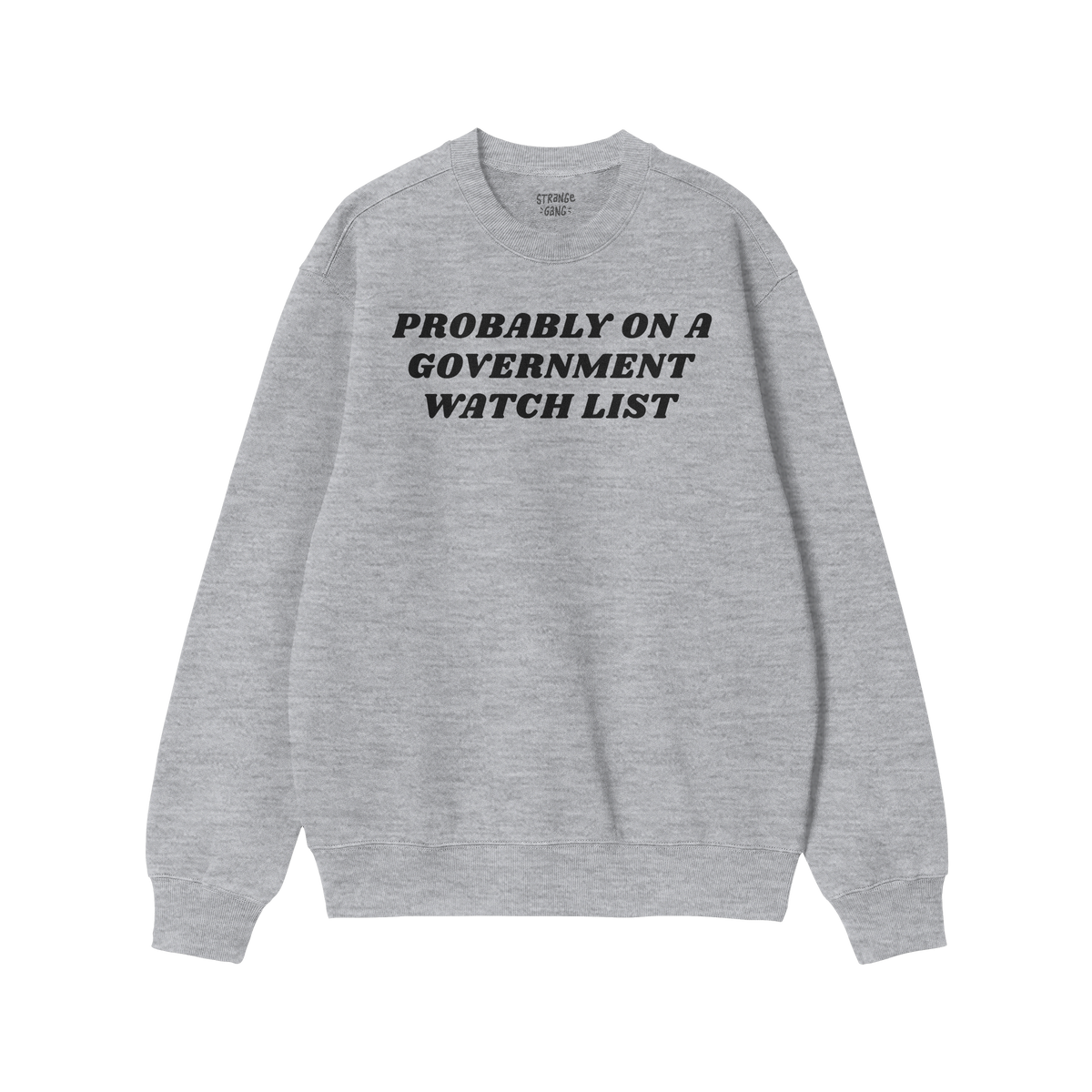 Watch List Hoodie & Sweatshirt features bold black text, “PROBABLY ON A GOVERNMENT WATCH LIST,” on a light-gray crewneck,