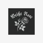 Weiße Rose Sticker & Magnet