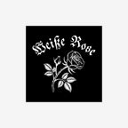 Weiße Rose Sticker & Magnet