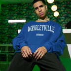 Wrigleyville Chicago Hoodie & Sweatshirt